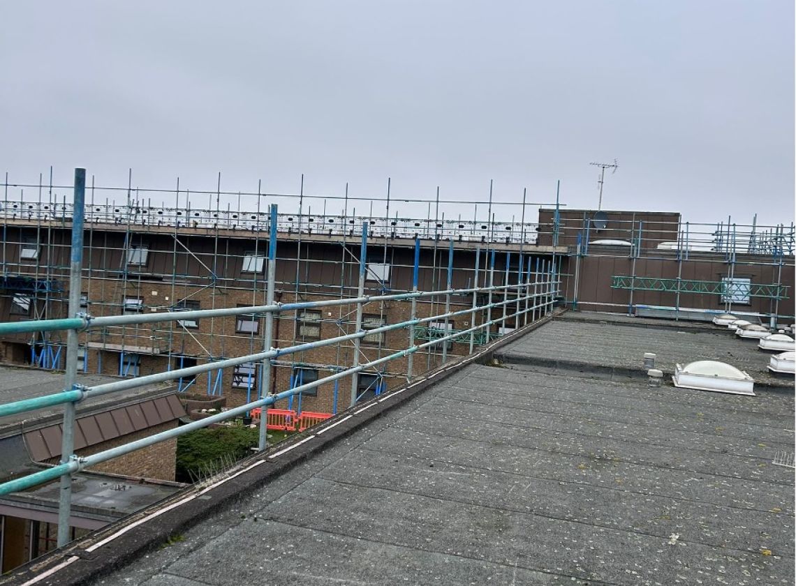 Specialised Site Management